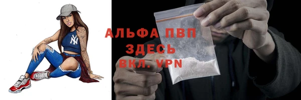 jwh Новозыбков