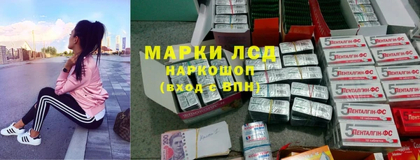 тгк Новодвинск