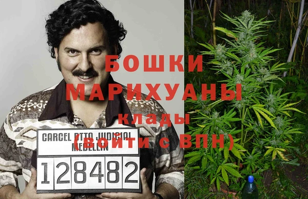 тгк Новодвинск