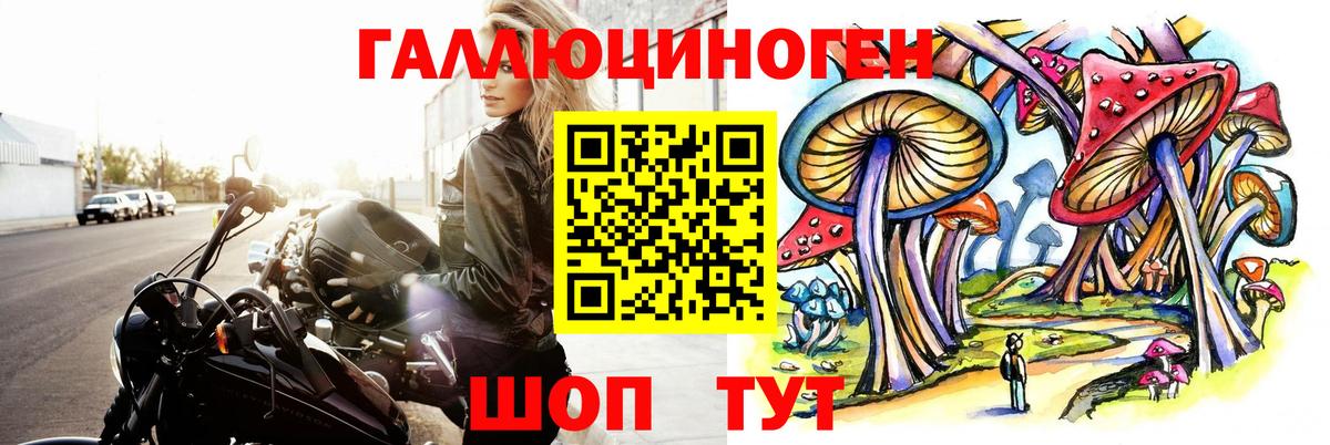 Кореновск  Галлюциногенные грибы MAGIC MUSHROOMS  Вход с VPN 