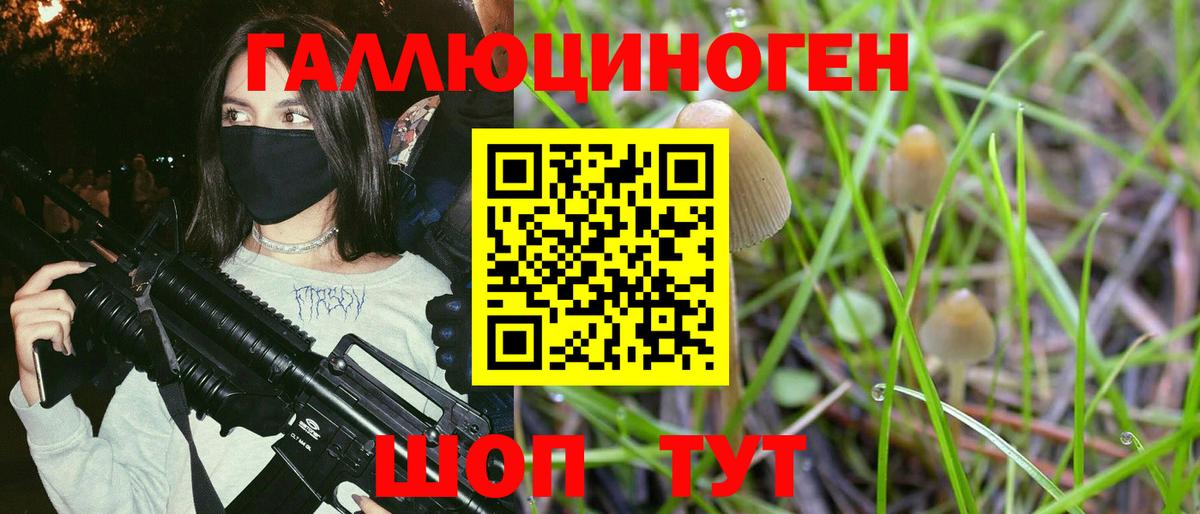 Псилоцибиновые грибы Cubensis Кореновск