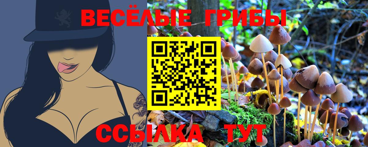 Псилоцибиновые грибы ЛСД Кореновск